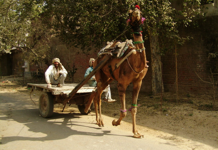 Vrindavan